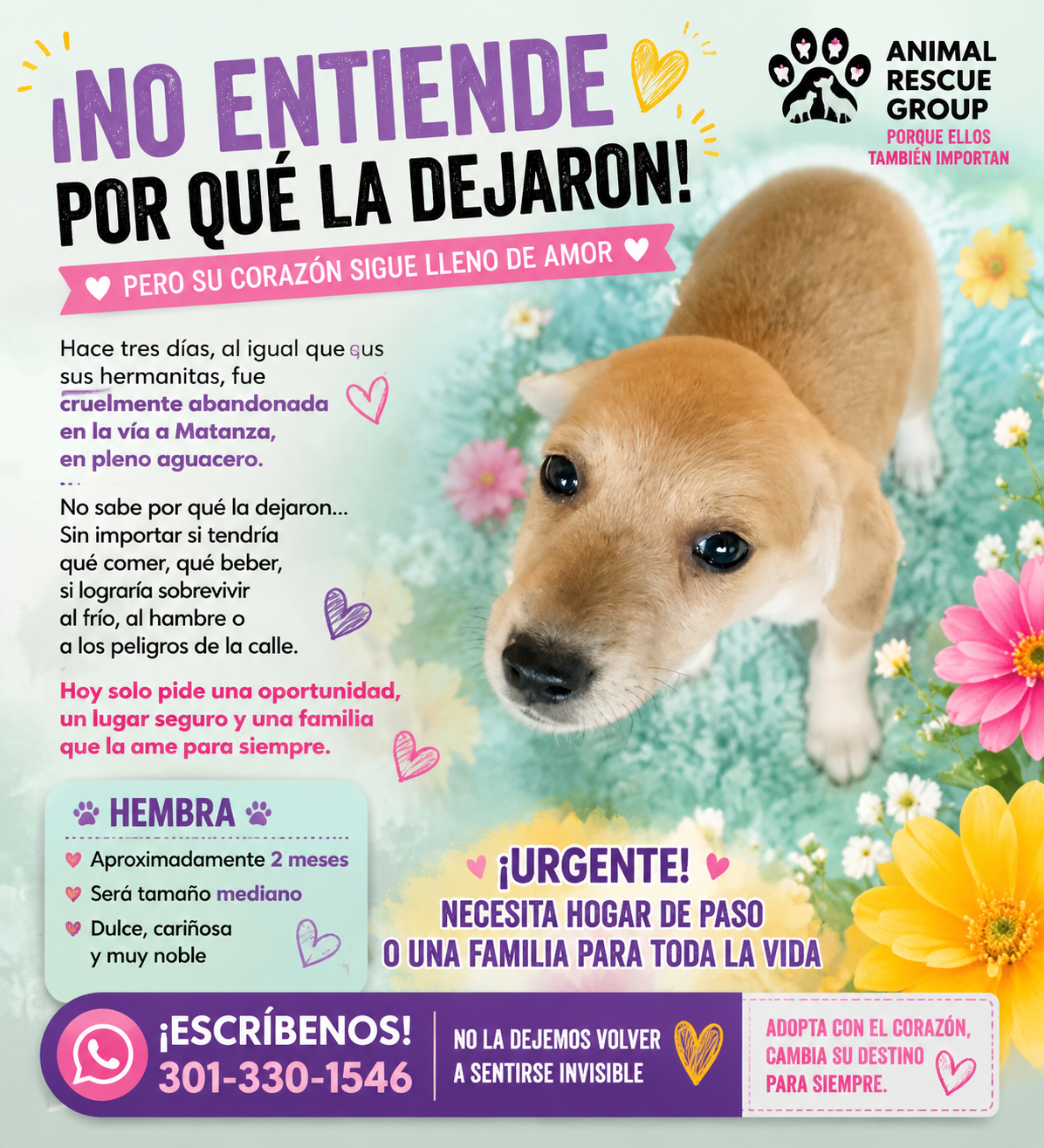 Mascota